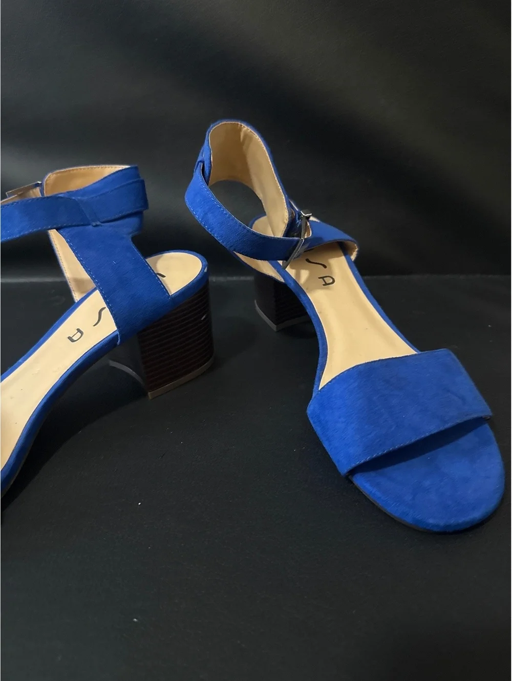 Blue Ankle Strap Block Heel Sandals Women’s size 10